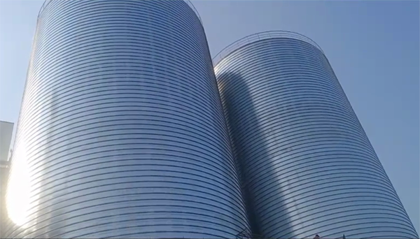 伊通2座混凝土高架卷板仓